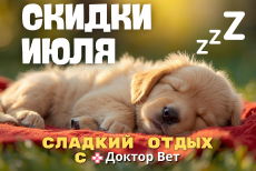 Летние скидки в «Доктор Вет»: порадуйте питомцев с выгодой